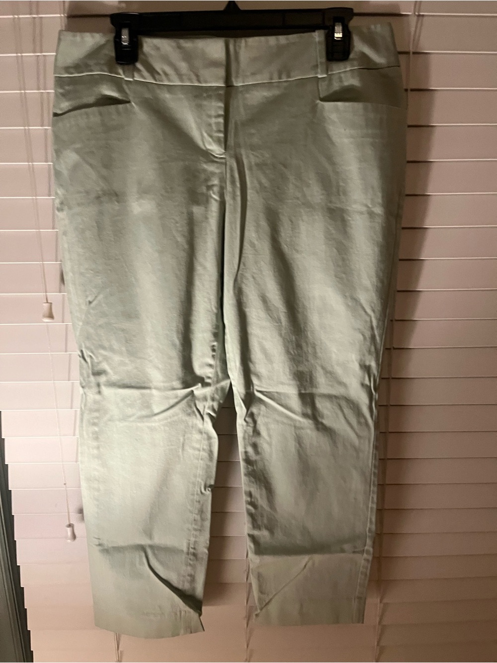 The Limited Mint Straight-Leg Pants
